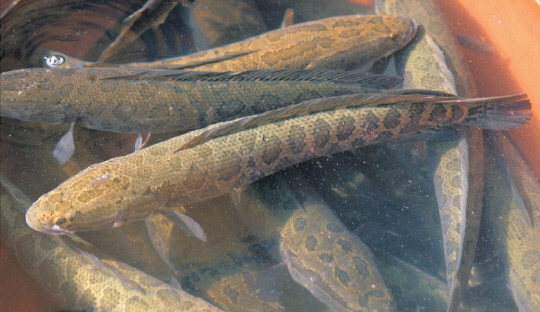 [아이클릭아트 제공]